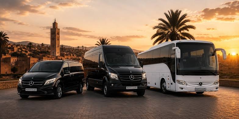A van, minibus and coach parked together in Marrakech, with the city skyline and palm trees behind them.